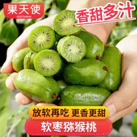【果天使】软枣猕猴桃2-3斤放软再吃香甜多汁新鲜应季水果奇异果