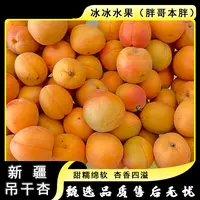 【散装】[N]新疆空运吊干杏 份/净3斤左右 仅太原晋中吕梁忻州可拍