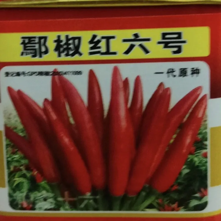 鄢椒红六号，叉上分叉