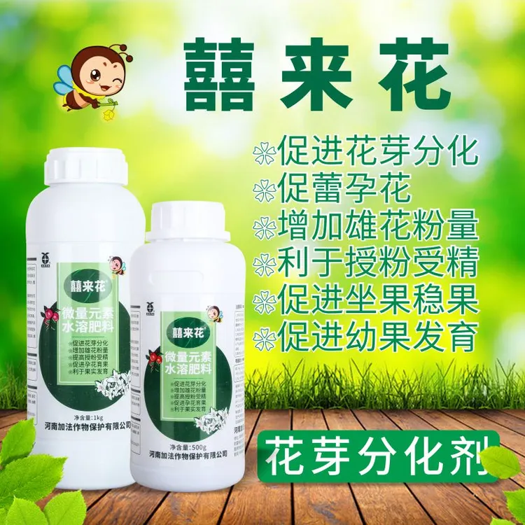 喜囍来花 促进瓜果蔬菜药材花卉花芽分化 催花促果 花多多果多多