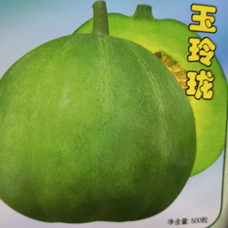 玉玲珑薄皮甜瓜种子酥脆甜香口感好易管理上市早果面光滑香瓜