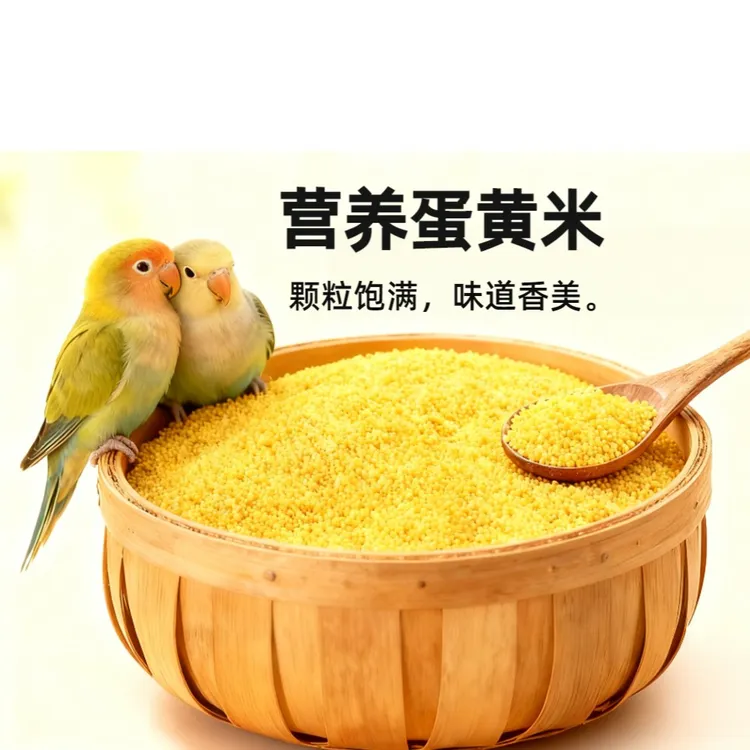 自有养殖场现做鹦鹉蛋小米，