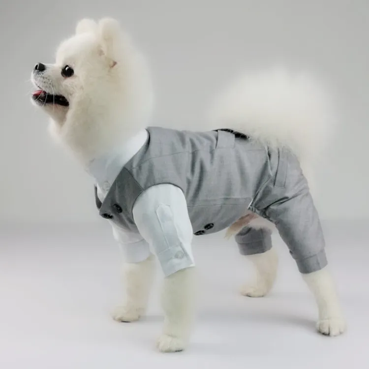新款宠物衬衫西裤西装四脚衣狗狗婚礼衣服猫咪结婚服精品宠物衣服