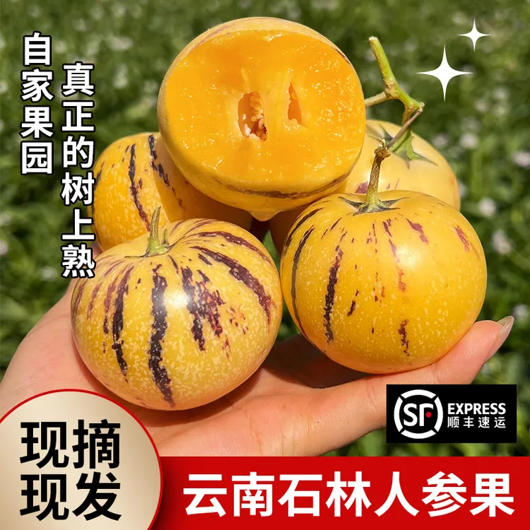 【顺丰到家】树上熟正宗石林人参果 圆果黄果产地直发新鲜应季水果2