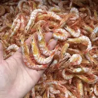 C广东汕尾本港纯淡晒活卢虾干