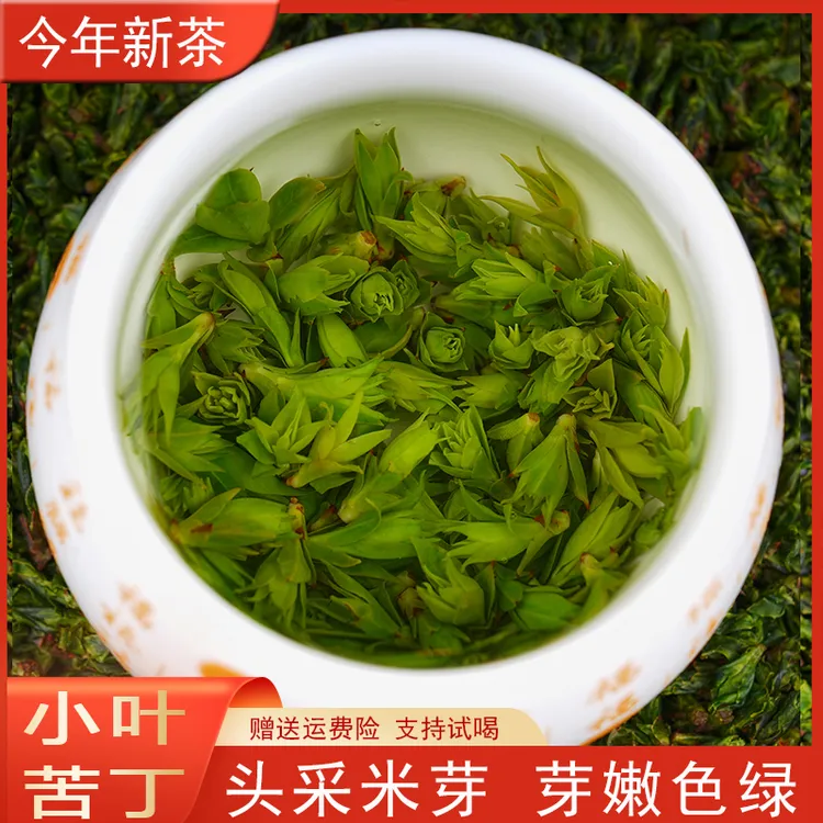 2025年新茶小叶苦丁茶嫩芽全芽米芽高山青山绿水明前新茶2025茶叶