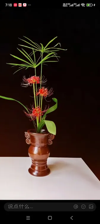 大花重瓣四季开花彼岸花曼珠沙华切花