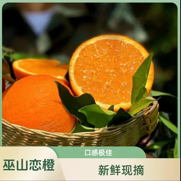 正宗重庆巫山纽荷尔脐橙现摘现发新鲜脆嫩香甜多汁应季水果