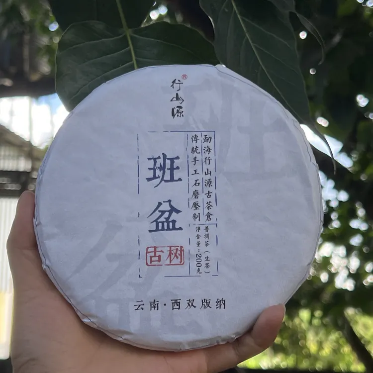 勐海班盆古树2023年头春，普洱生茶 200克/饼