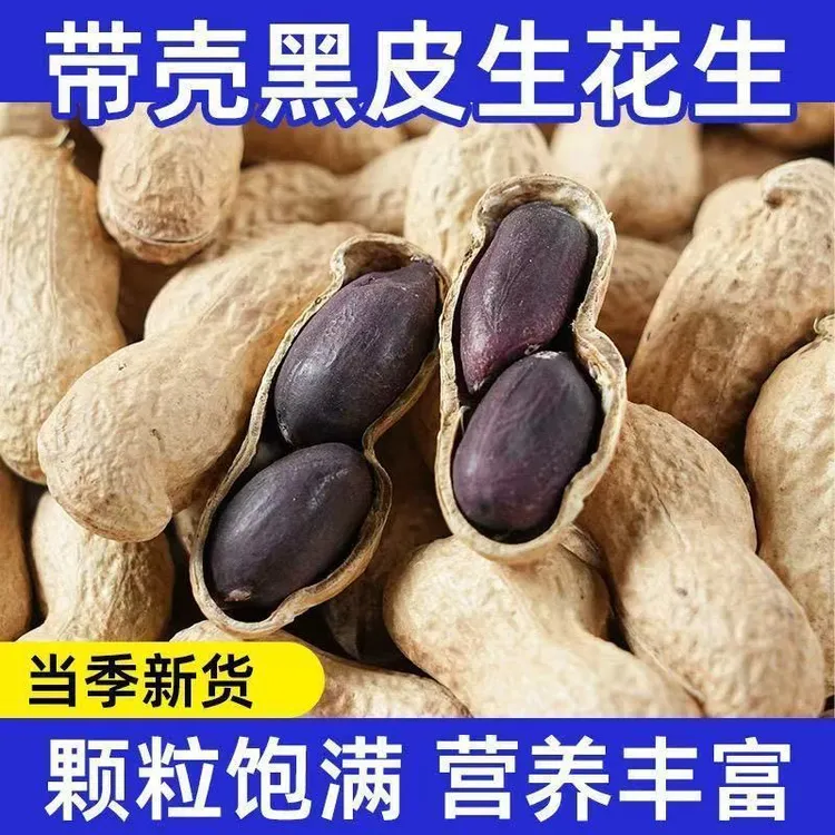 四川富硒带壳黑花生新货上市营养健康可生吃可煮粥