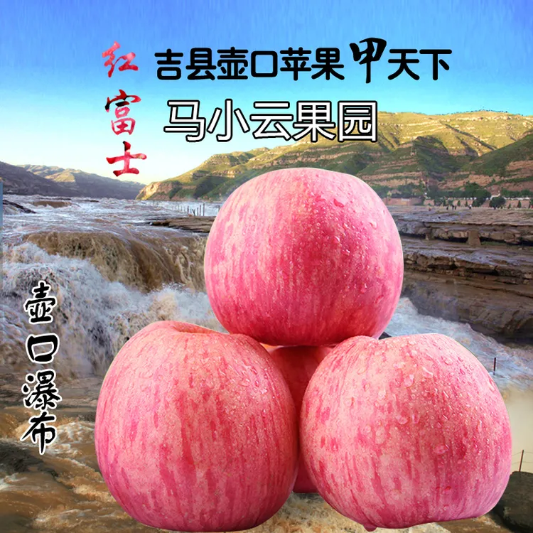 山西吉县壶口红富士苹果当季新鲜脆甜多汁冰糖心水果