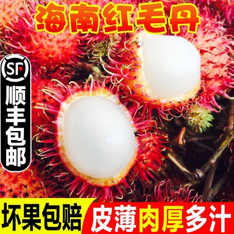 Z【顺丰京东空运】海南保亭红毛丹七号果新鲜现摘现发果肉鲜嫩多汁