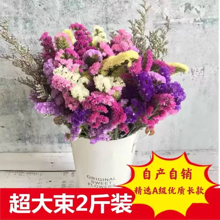 云南勿忘我干花花束干鲜花论斤卖大束长款满天星装饰家居摆设插花
