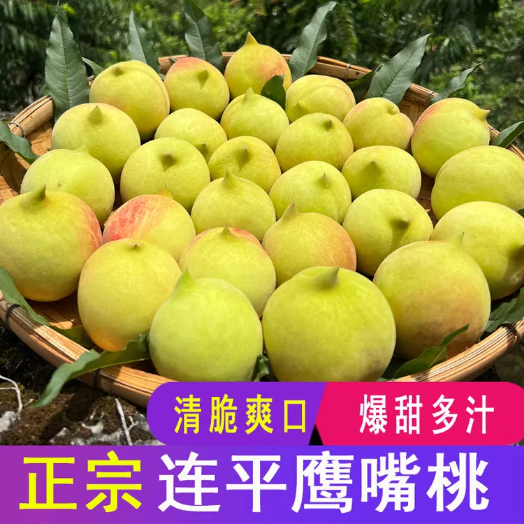【顺丰包邮】正宗河源连平鹰嘴蜜桃子整箱应季水果清脆爽口5斤/3斤