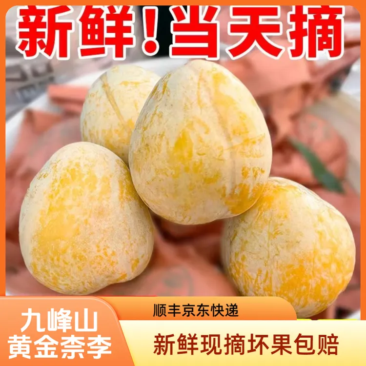 正宗九峰山黄金李奈李现摘应季新鲜水果恐龙蛋李孕妇水果顺丰包邮