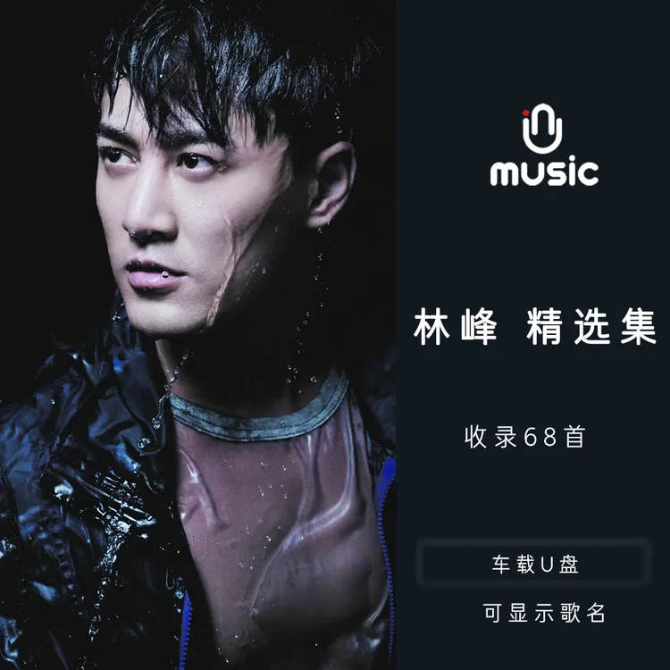 林峰 原唱歌曲合集精选U盘汽车载音乐优盘流行经典无损高音质mp3