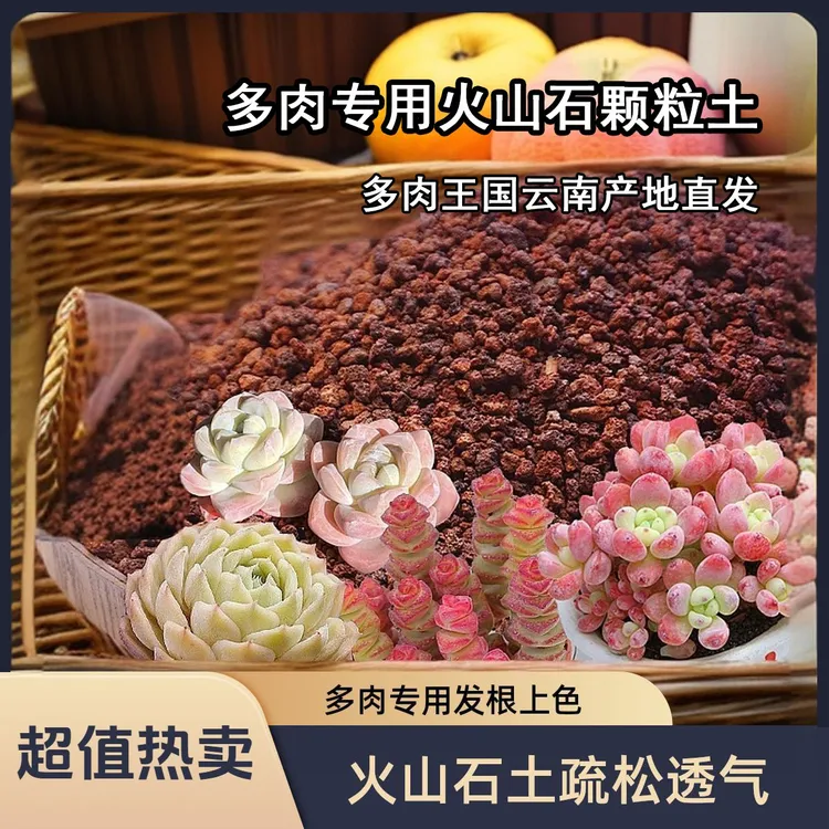 JT多肉专用纯火山石颗粒土种植土疏松透气发根上色铺面土