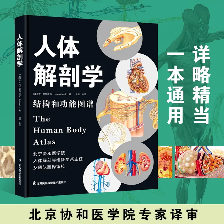 人体解剖学 彩色结构和功能图谱解刨书籍 江苏凤凰科技出版社