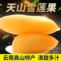 【送削皮刀】头茬云南特产天山雪莲果新鲜现挖清甜多汁应季水果