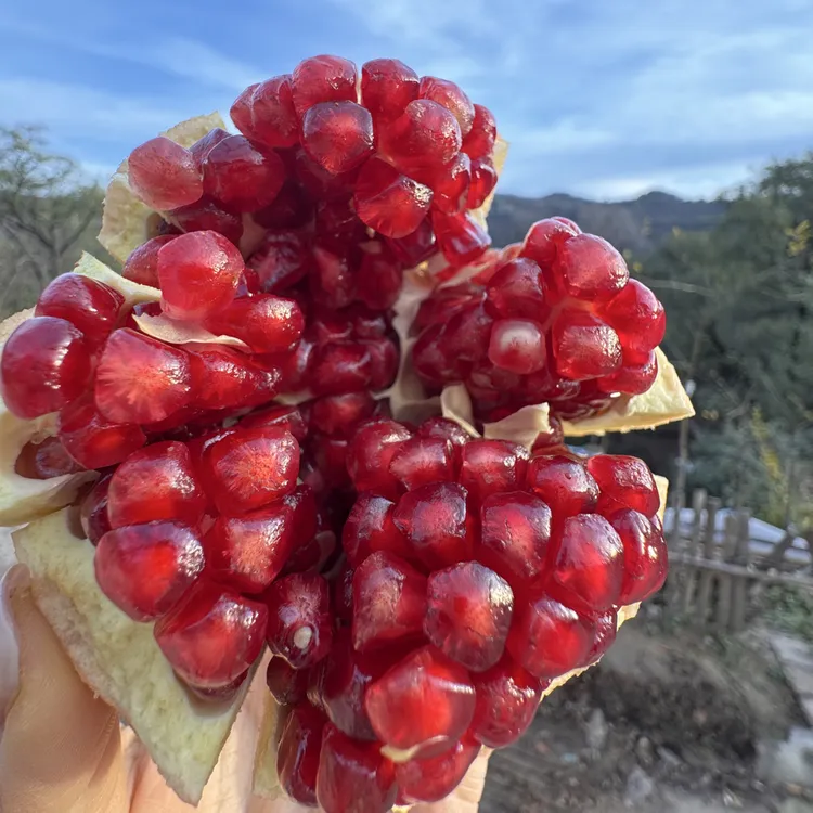 陕西临潼特产硬籽精品甜石榴酸甜可口 一口爆汁