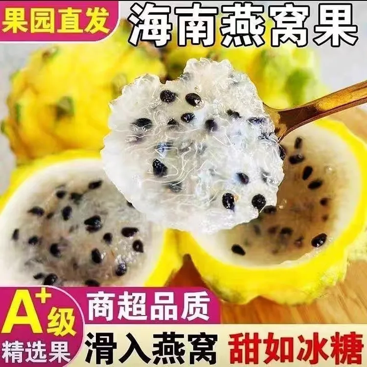 顺丰包邮海南燕窝果新鲜麒麟果黄火龙果清甜多汁当季热带水果礼盒