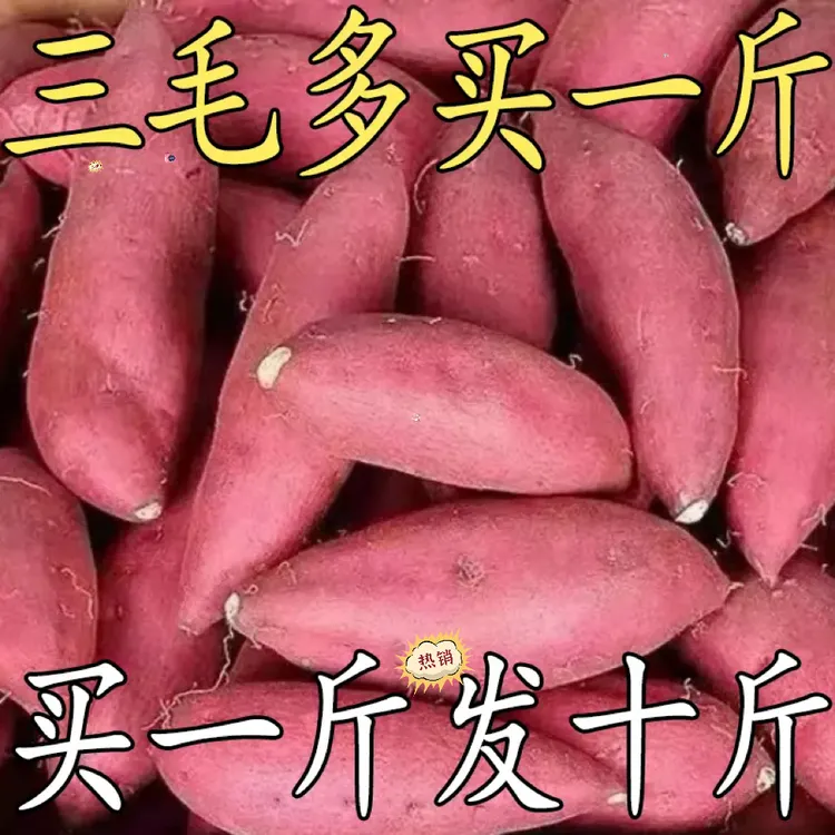 【超划算】新鲜蜜薯1/5斤超甜美味红薯板栗地瓜红心番薯烟薯蔬菜