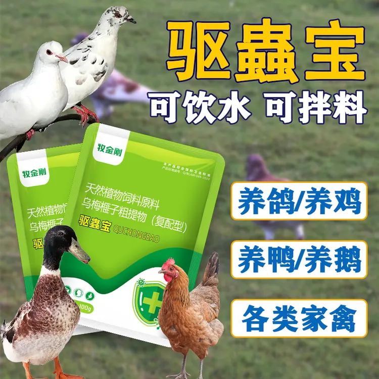 鸽子驱虫鸽子体内驱虫打虫肉鸽种鸽赛鸽通用掉毛消瘦线虫蛔虫绦虫