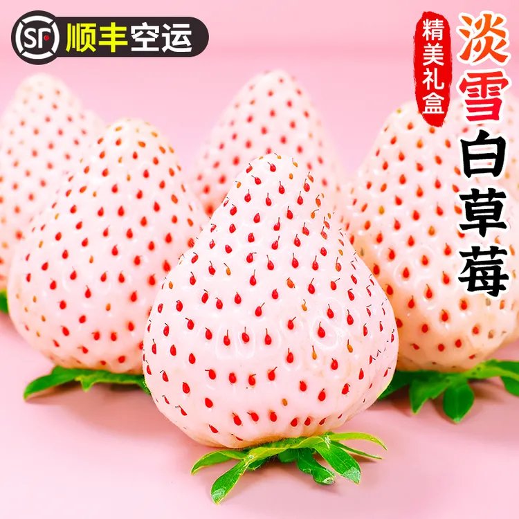 【顺丰空运|礼盒】淡雪白草莓1-10盒水果白雪公主奶油草莓白色草莓