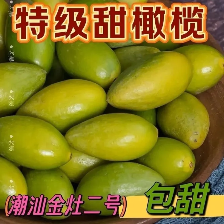 潮汕金灶特产冰糖橄榄果新鲜二号甜种柑榄生水果青果生吃无渣煲汤