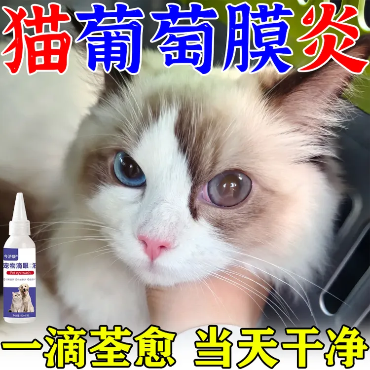 猫咪葡萄膜炎用什么滴眼液小猫眼睛睁不开流泪分泌物多干眼症专用