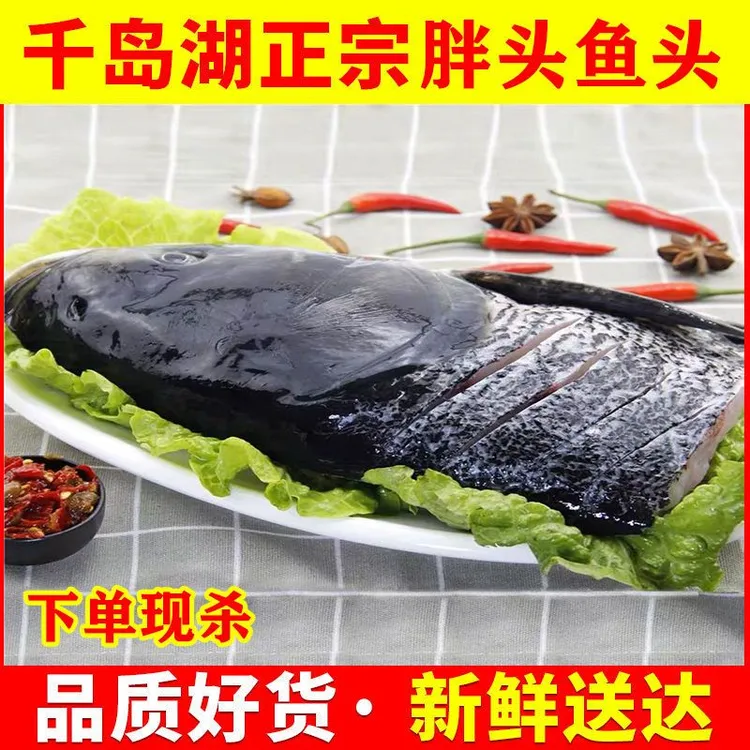 千岛湖鱼头新鲜胖头鱼鳙鱼头鲢鱼头淡水鱼海鲜水产顺丰包邮