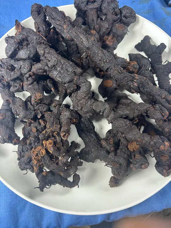 农家自制九蒸九晒老黄尖直接可以农村吃也可以搭配枸杞农村吃。