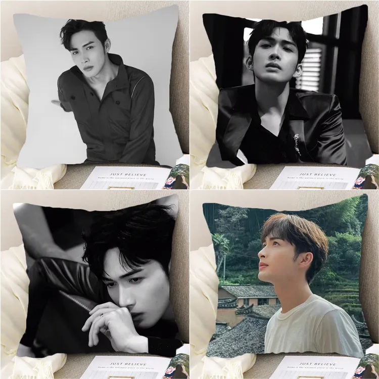 张彬彬抱枕套明星周边护腰垫学生卧室宿舍床头靠枕车载沙发靠背垫