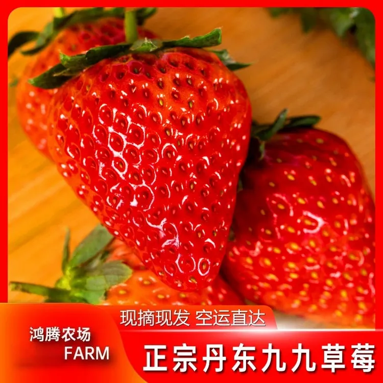 正宗丹东九九红颜奶油大草莓丹东99大草莓直播现摘现发空运到家2