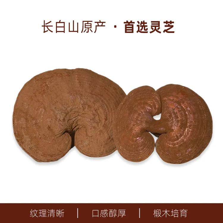 【长白山赤灵芝】带孢子粉泡酒煮水林下生干灵芝