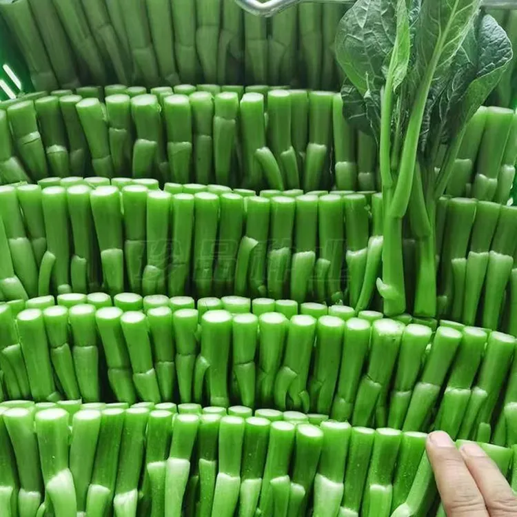 3斤装/新鲜广东菜心菜花当季油菜心鲜嫩清甜菜苔农家小青菜蔬菜