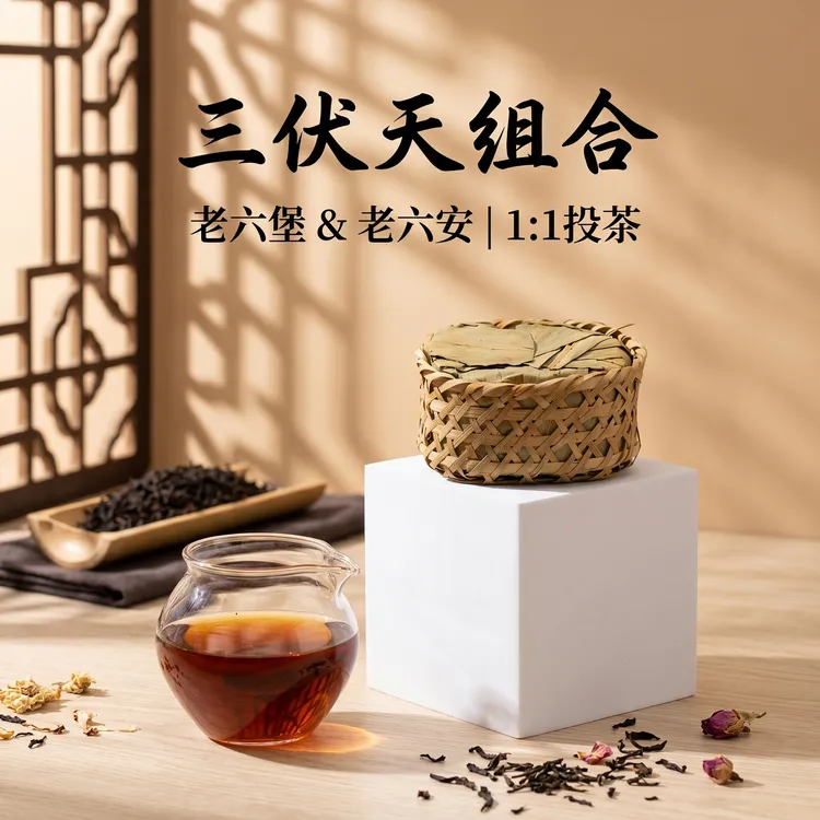 三伏天推荐|2005年老六安2008年老六堡组合(分开包装,1:1投茶)