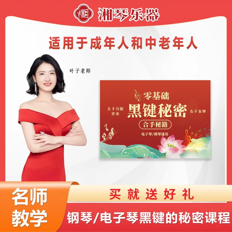 湘琴叶子电子琴钢琴左手万能伴奏黑键课程零基础小白快速入门