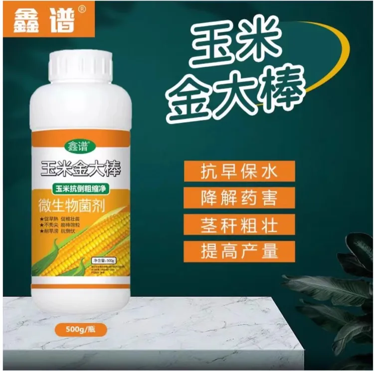 鑫谱玉米金大棒籽粒饱满生根壮苗抗倒伏增产增收棒大籽大叶面肥