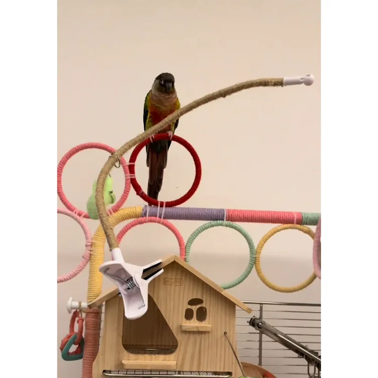 鹦鹉垃圾桶拉便便支架站杆定点排便站架耐咬磨嘴磨爪站棒鸟用玩具