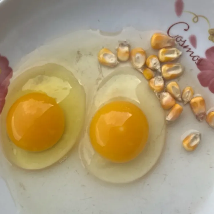 【正宗农家土鸡蛋】现捡现发（纯粮喂养0激素）顺丰包邮 破损包赔