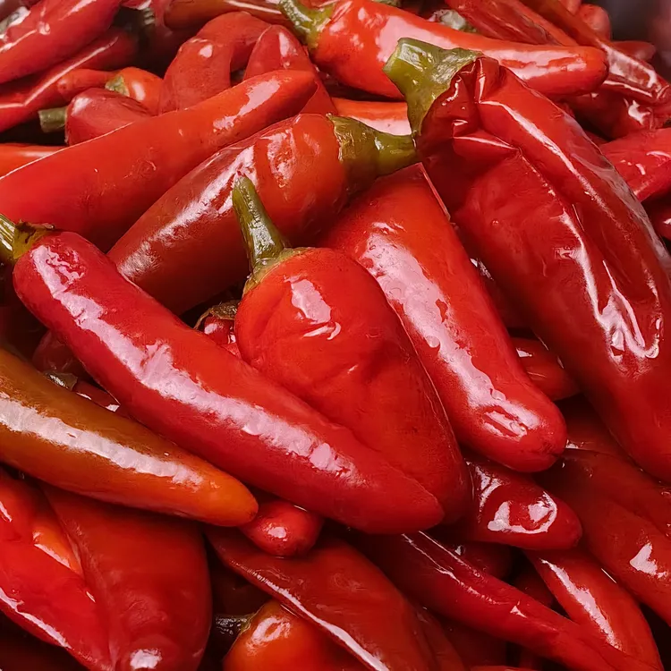（顺丰包邮）全州坛子酸辣椒红辣椒酸辣椒