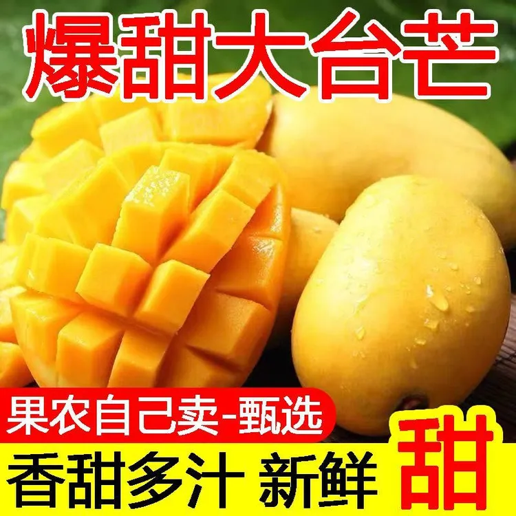 大台农芒果新鲜贵州高山现摘大果鲜芒果应季水果香甜多汁皮薄