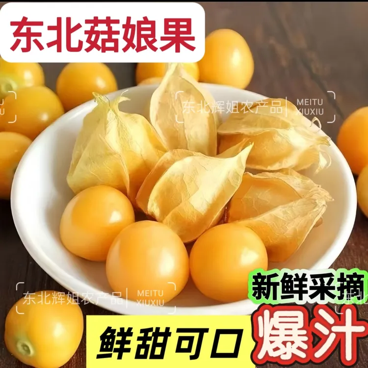 东北特产新鲜当季姑娘果原汁原味灯笼果3斤包邮