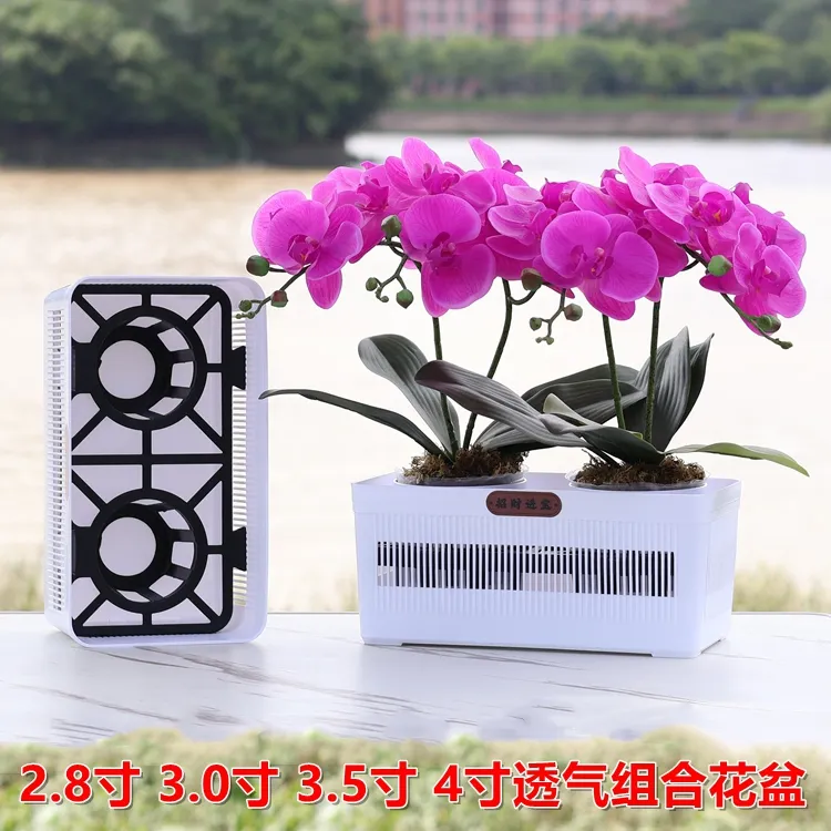  2.8/3.0/3.5/4寸蝴蝶兰小盆栽拼组合花盆专用控根盆育苗钵兰花杯