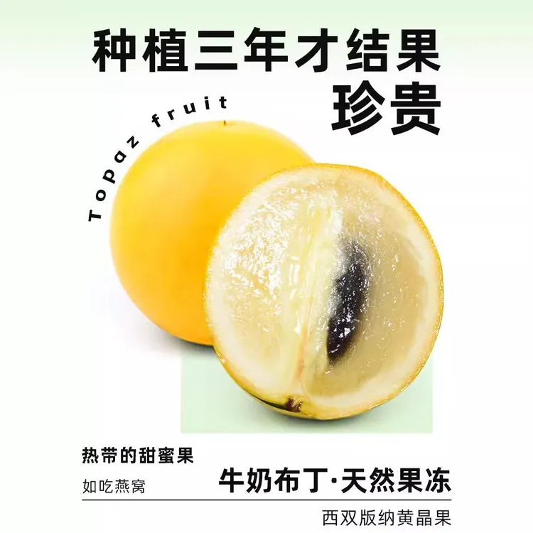 西双版纳冬蜜黄晶果新鲜牛奶黄金果黄皮热带牛奶水果果冻果稀有果