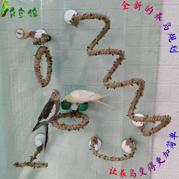 透明墙面玻璃瓷砖吸盘站架站杆站棍育鸟缘中小型鹦鹉小宠吸盘爬玩