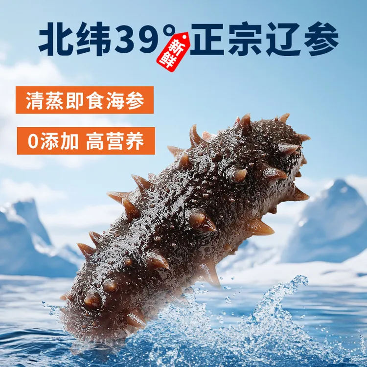 【鲜蒸即食海参微瑕】5-12头大连即食辽参海参Q弹口感大连自有发货