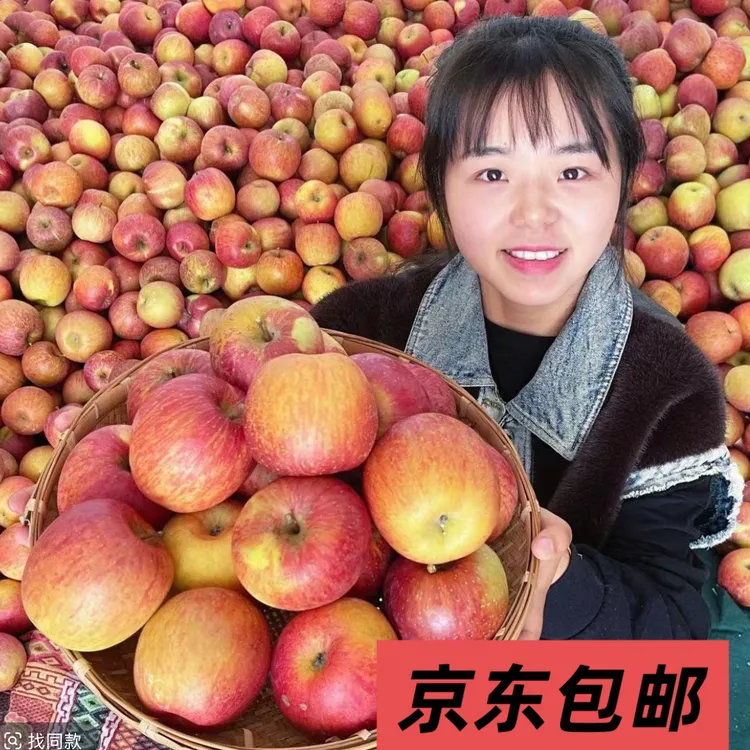 尘乡居汉源红富士丑苹果新鲜采摘净重5-8斤装 (京东包邮）