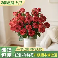 【源头优选】巧克力多头玫瑰-任意2单鲜花升级 发货后不支持退款